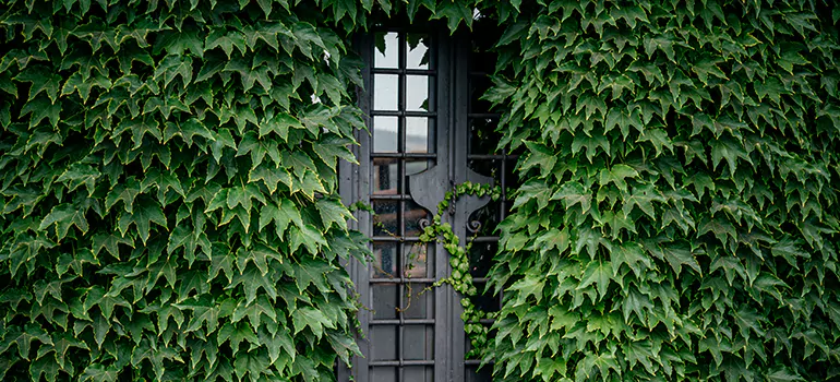 Garden Gate Repair in Oakland Park, FL