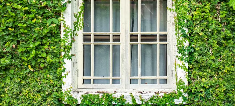 Garden Window Repair Near Me in Oakland Park, FL