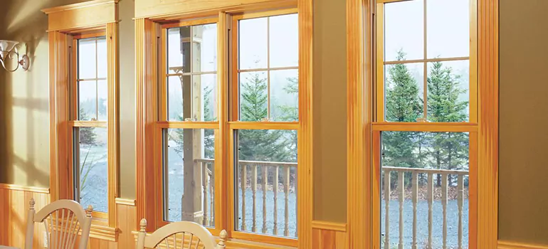 Government Incentives For Replacement Windows in Oakland Park, FL