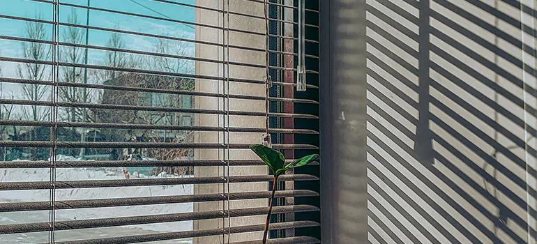 Commercial Window Blinds in Oakland Park, FL