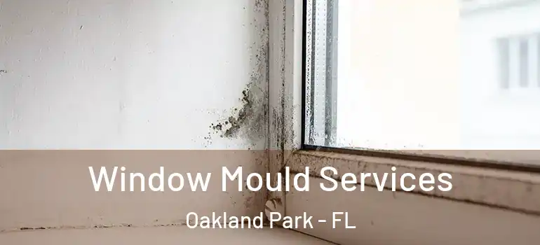  Window Mould Services Oakland Park - FL